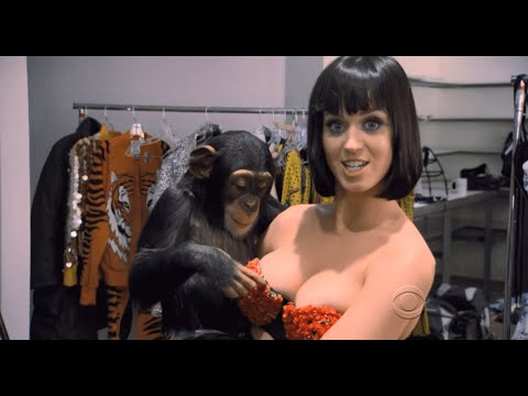 stan twitter: Katy Perry with a monkey - YouTube