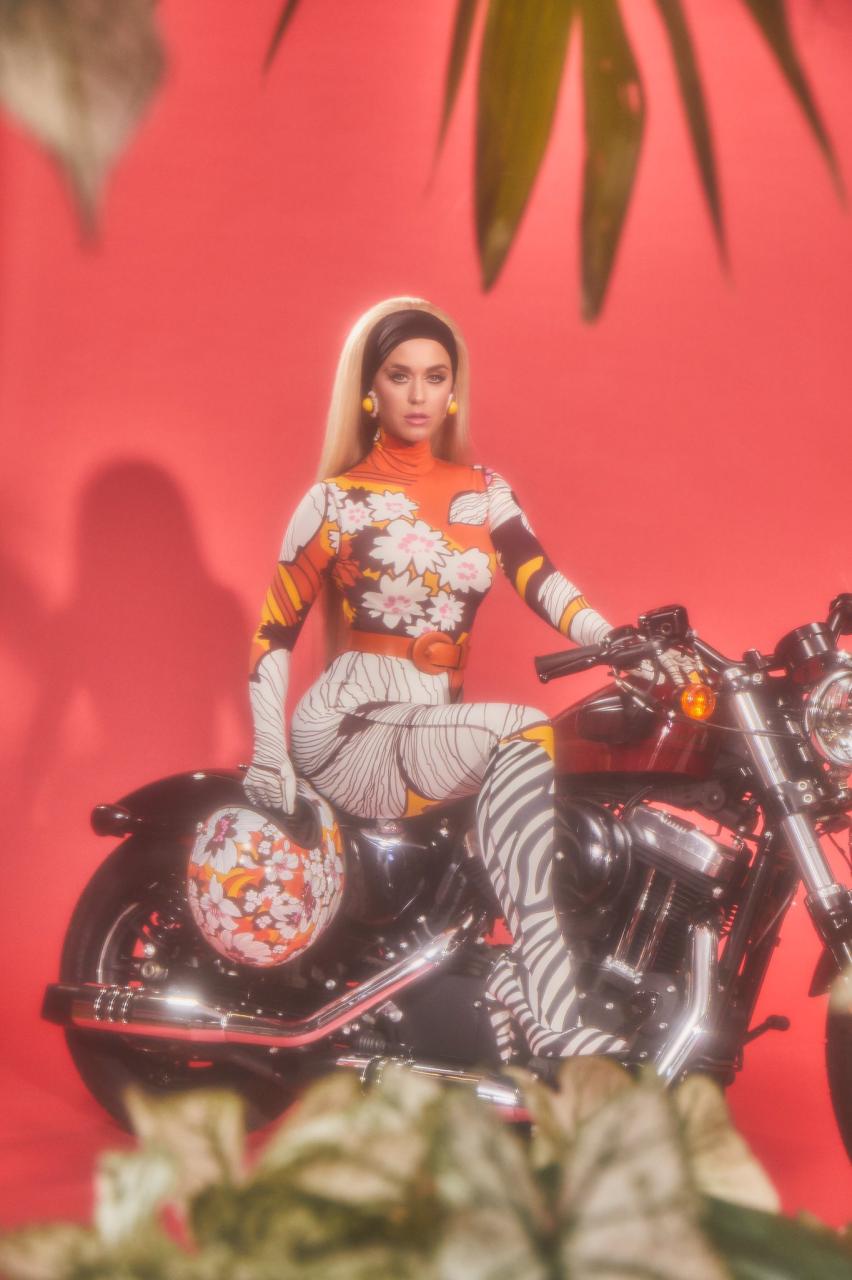 Katy Perry's 'Harleys In Hawaii' Vertical Video: Watch, 42% OFF
